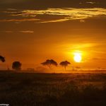 28249642-8306869-An_image_shows_the_blinding_sun_stretching_out_through_the_dusty-a-106_1589194993239