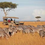 maasai-mara