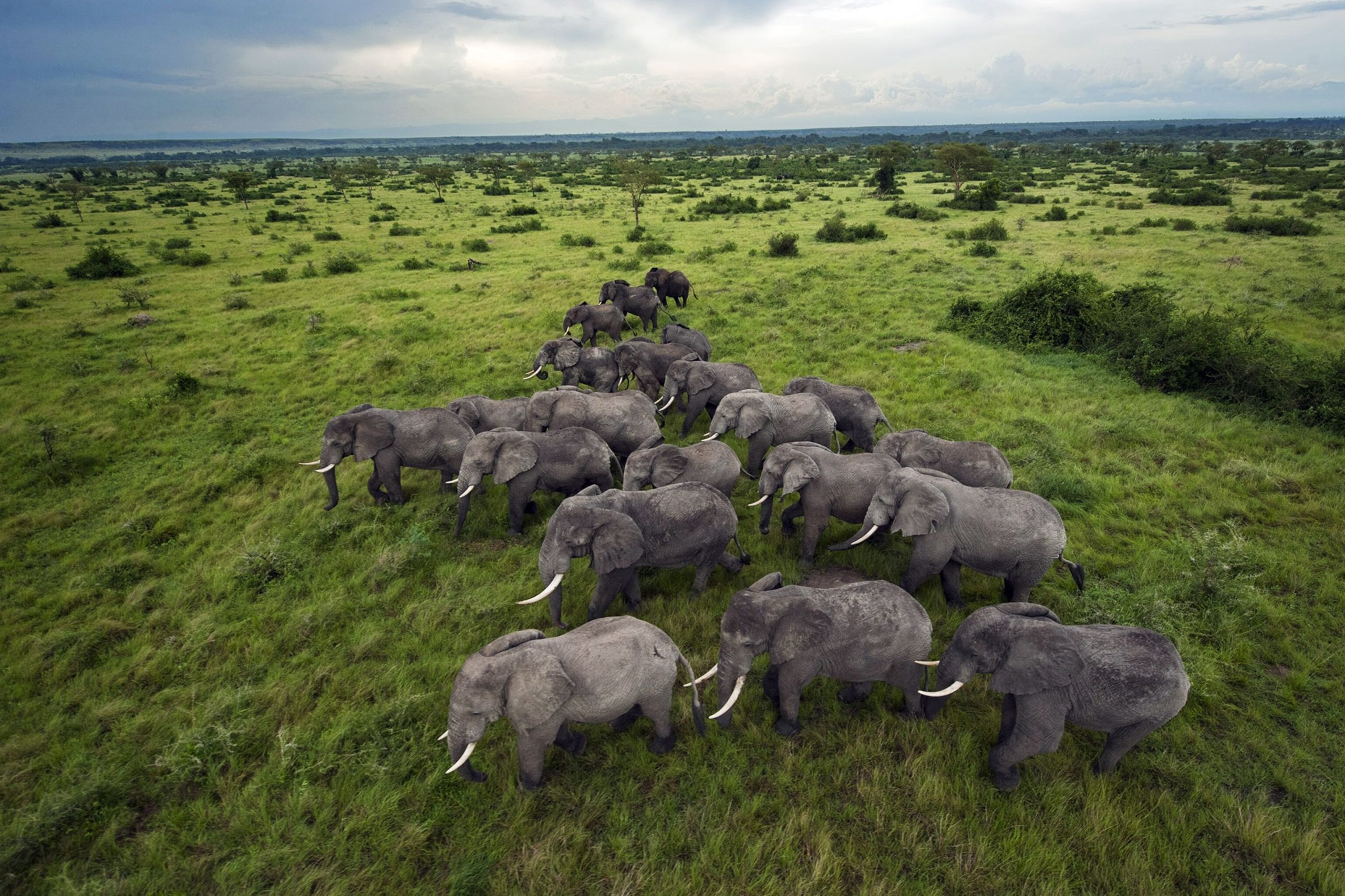 Read more about the article Days Rwanda – Tanzania Scenic Safari
