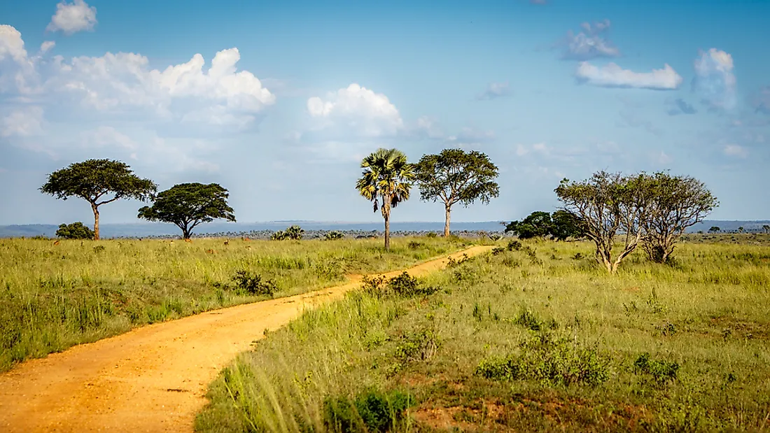 Read more about the article 8 Days Kidepo & Karamoja Cultural Safari